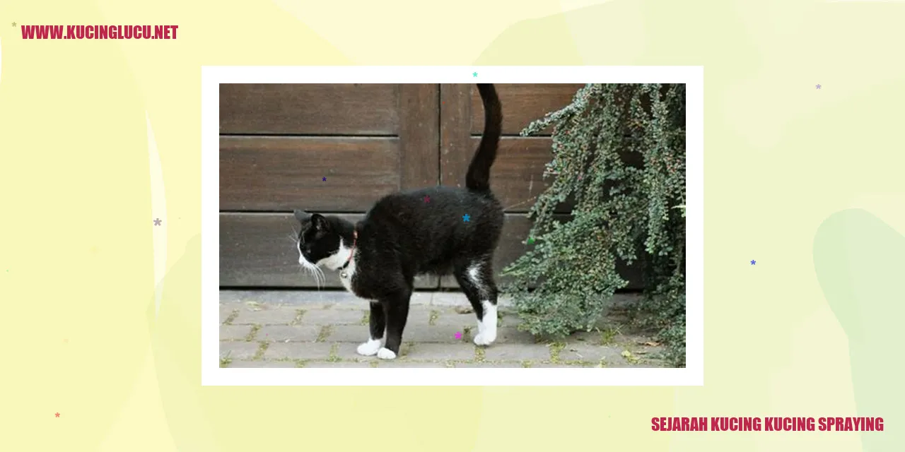 Kucing yang sedang berkumur dengan katifan