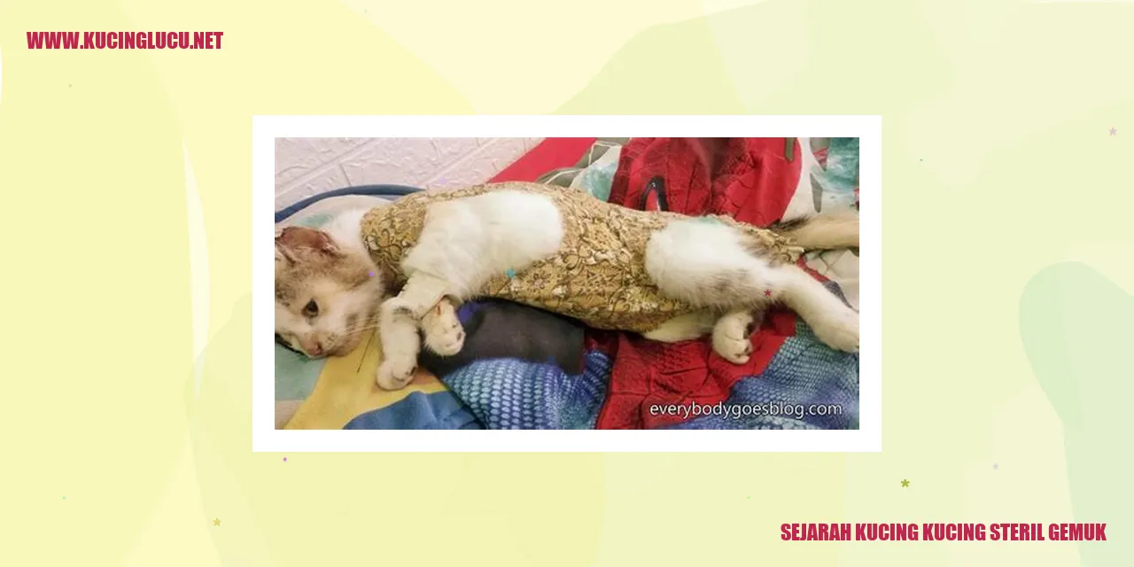 Sejarah Kucing Kucing Steril Gemuk