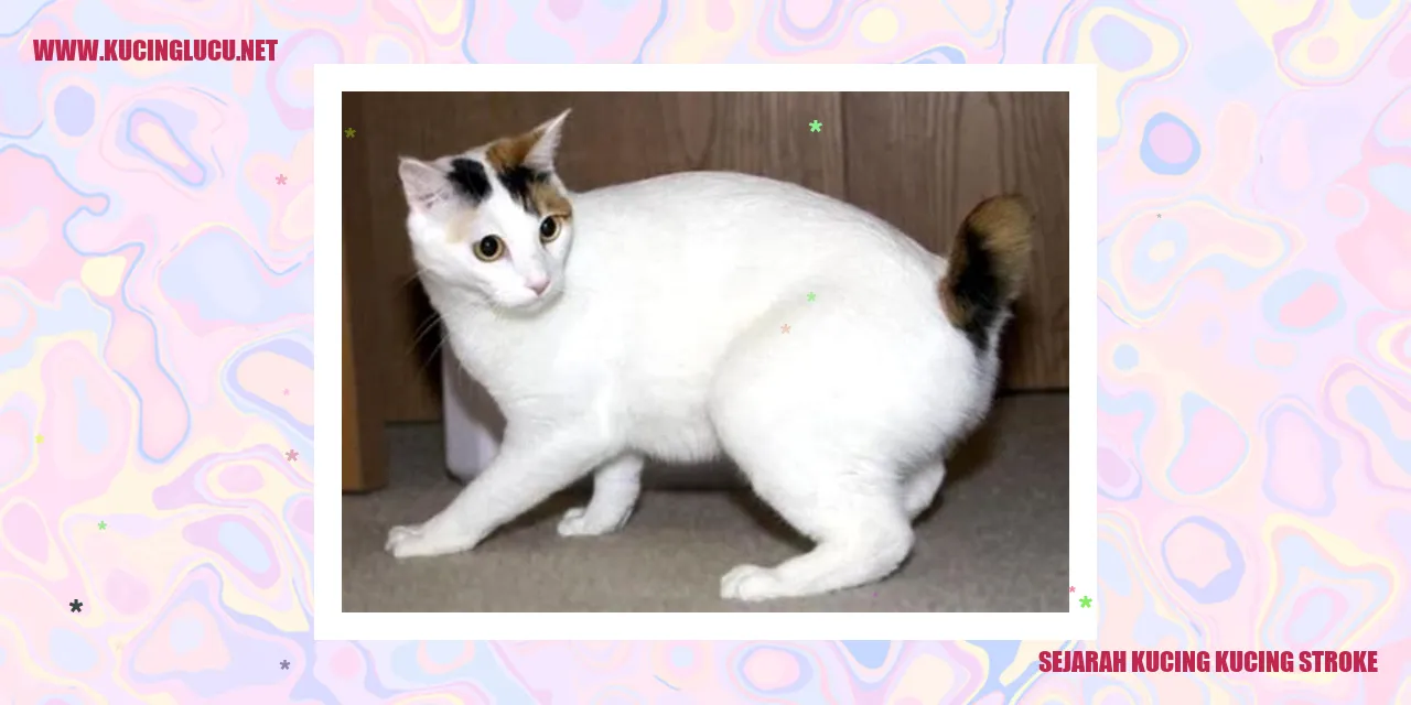 Sejarah Kucing Kucing Stroke