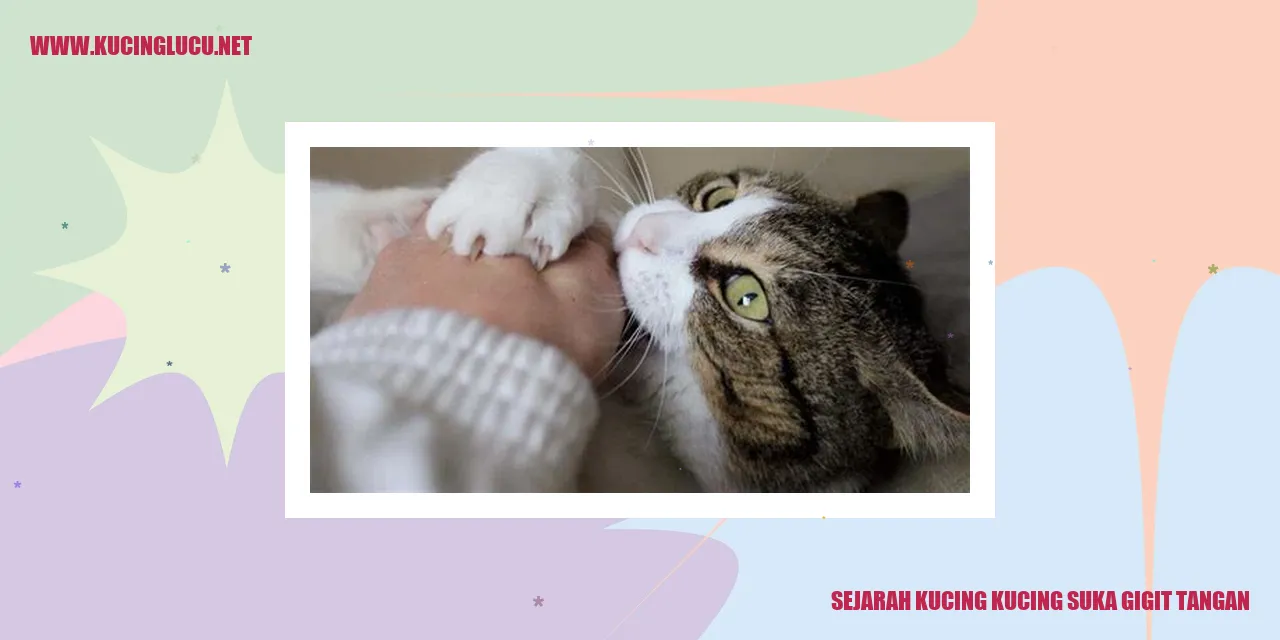 Gambar Kucing yang Menggigit Tangan