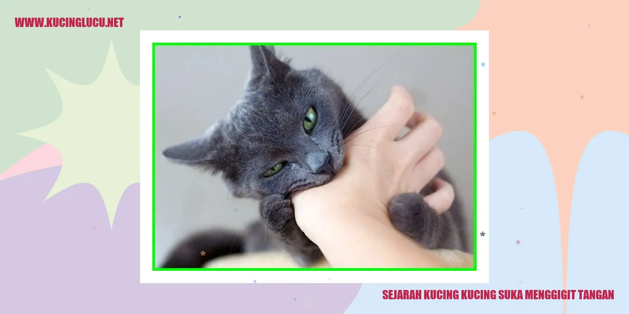 Sejarah Kucing kucing suka menggigit tangan