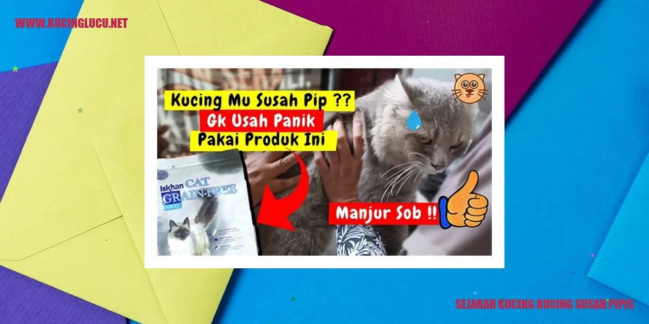 Foto Kucing yang Susah Buang Air Kecil