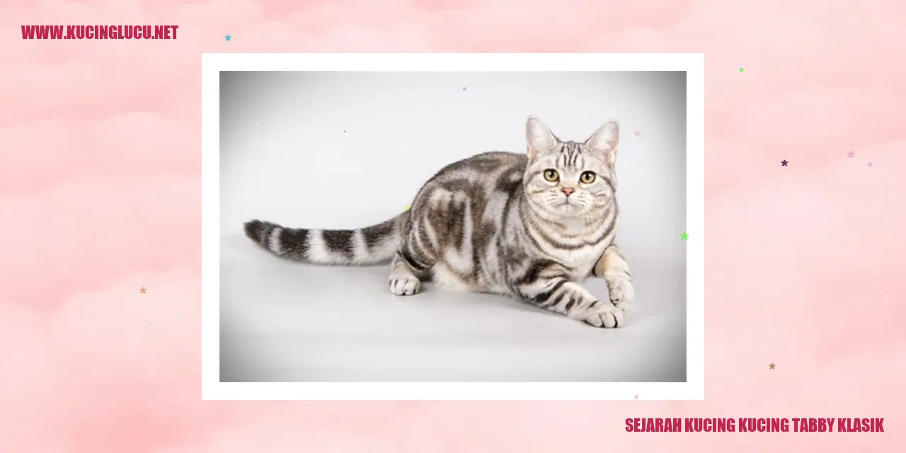Kucing Tabby Klasik