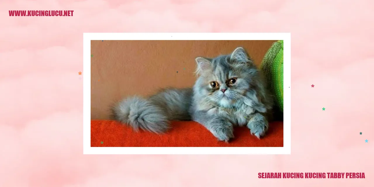 Sejarah Kucing kucing tabby persia