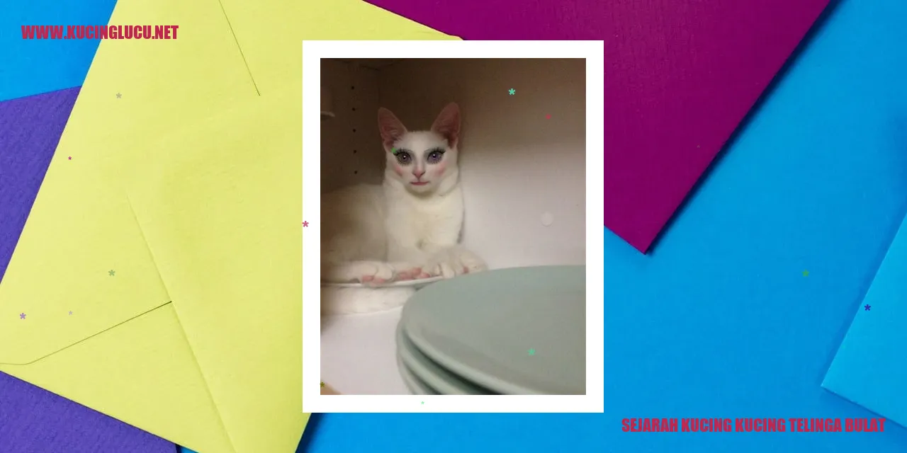 Sejarah Kucing Kucing Telinga Bulat