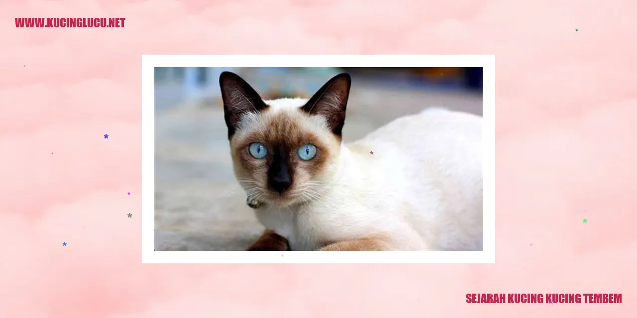 Gambar: Kucing-Kucing Tembem