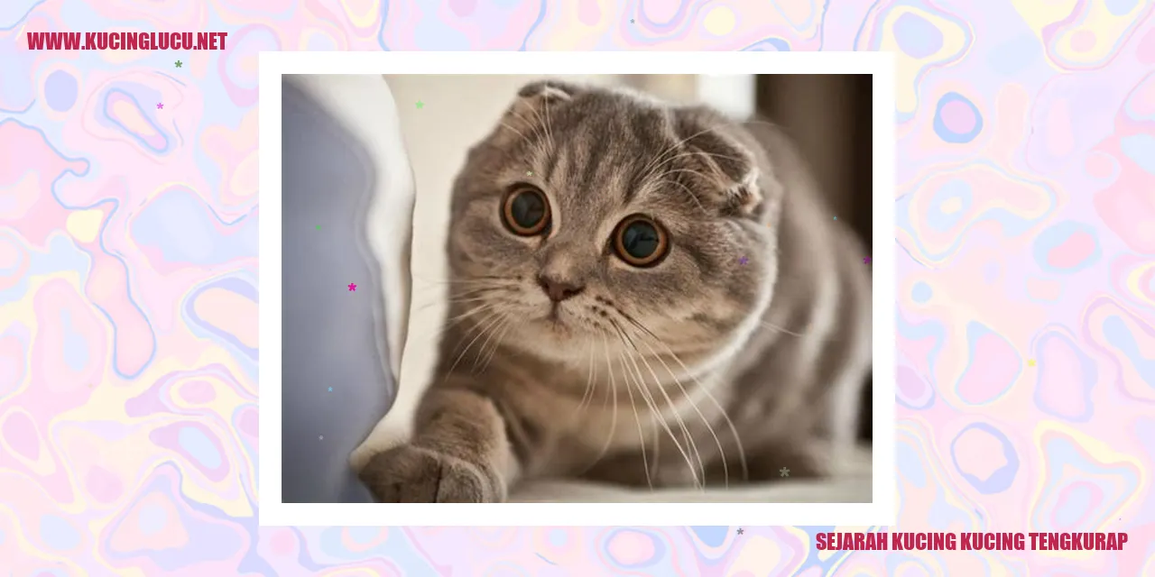 sejarah kucing kucing tengkurap