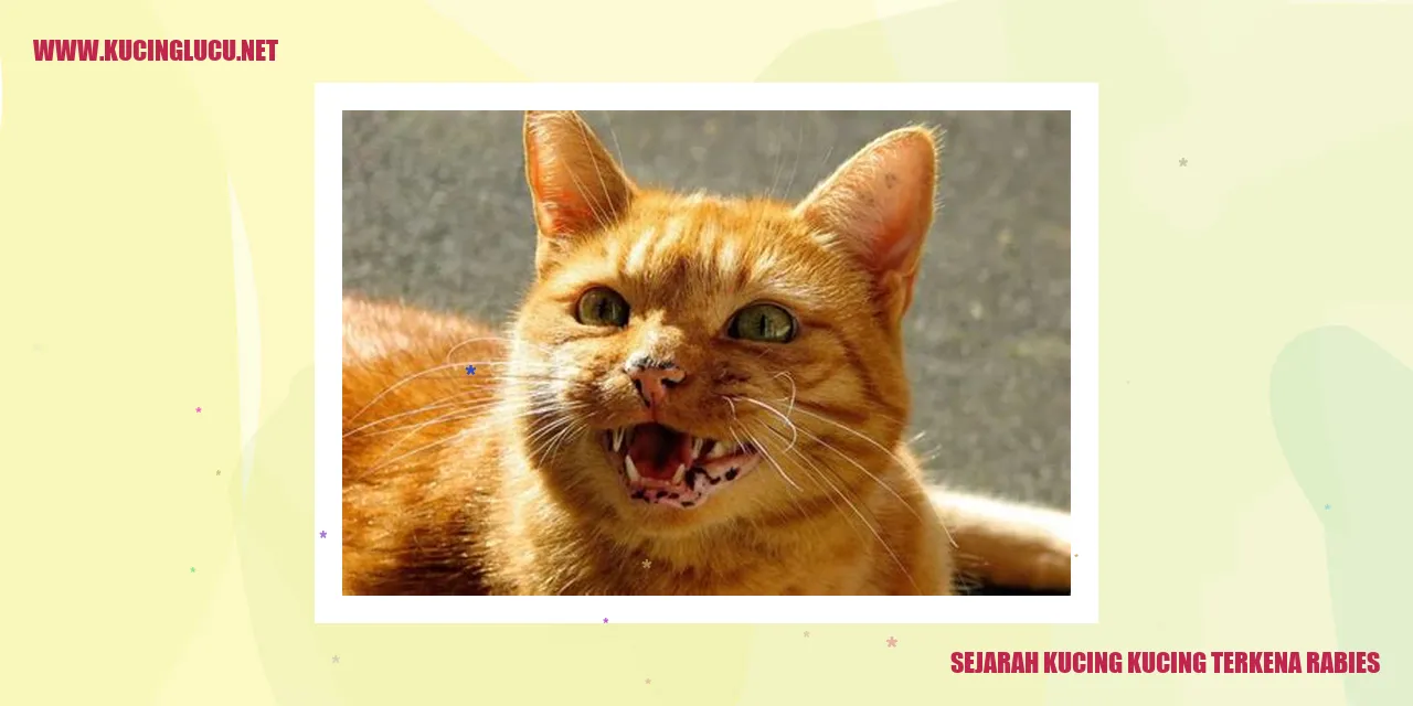 Sejarah Kucing Terkena Rabies