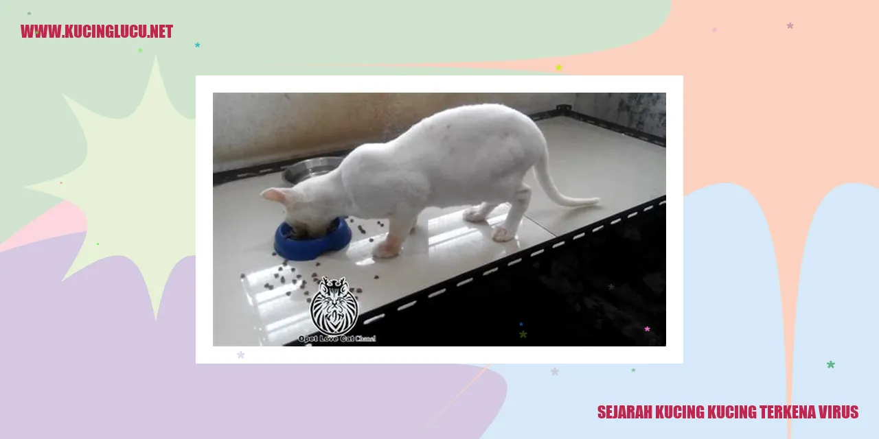 Sejarah Kucing Terkena Virus