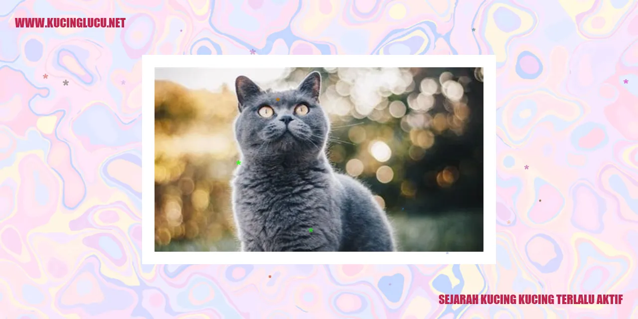 Sejarah Kucing yang Aktif Setiap Waktu