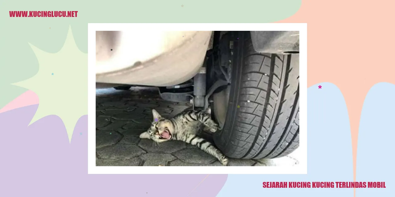 Kejadian Kucing Terjepit Mobil