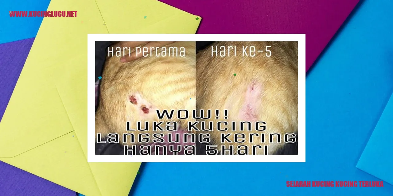 Sejarah Kucing Kucing Terluka
