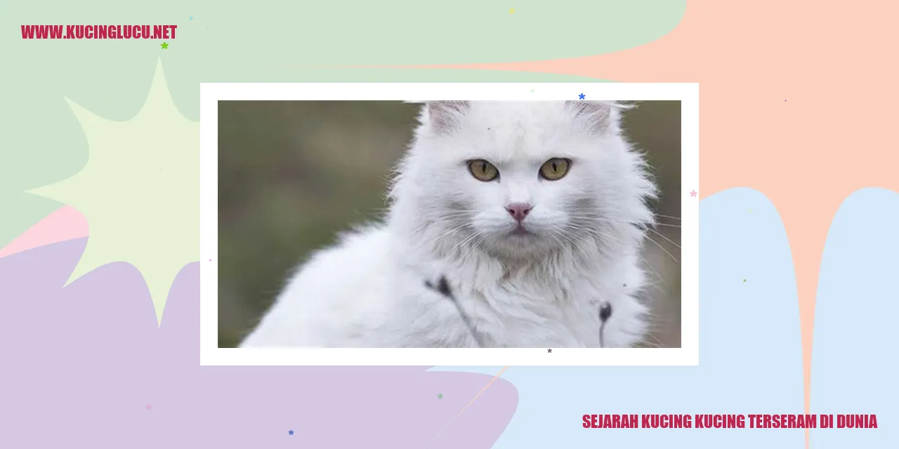 Gambar Seram Kucing di Dunia