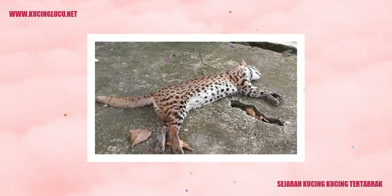 Sejarah Kucing kucing tertabrak