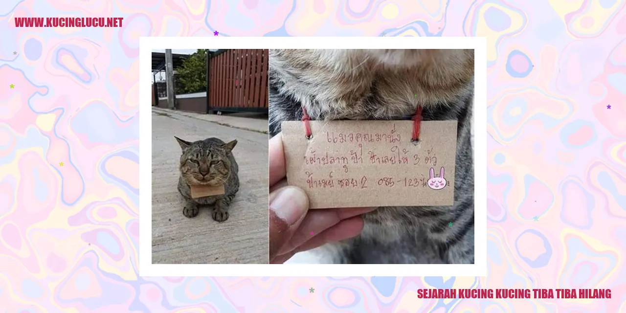 Kucing Menghilang