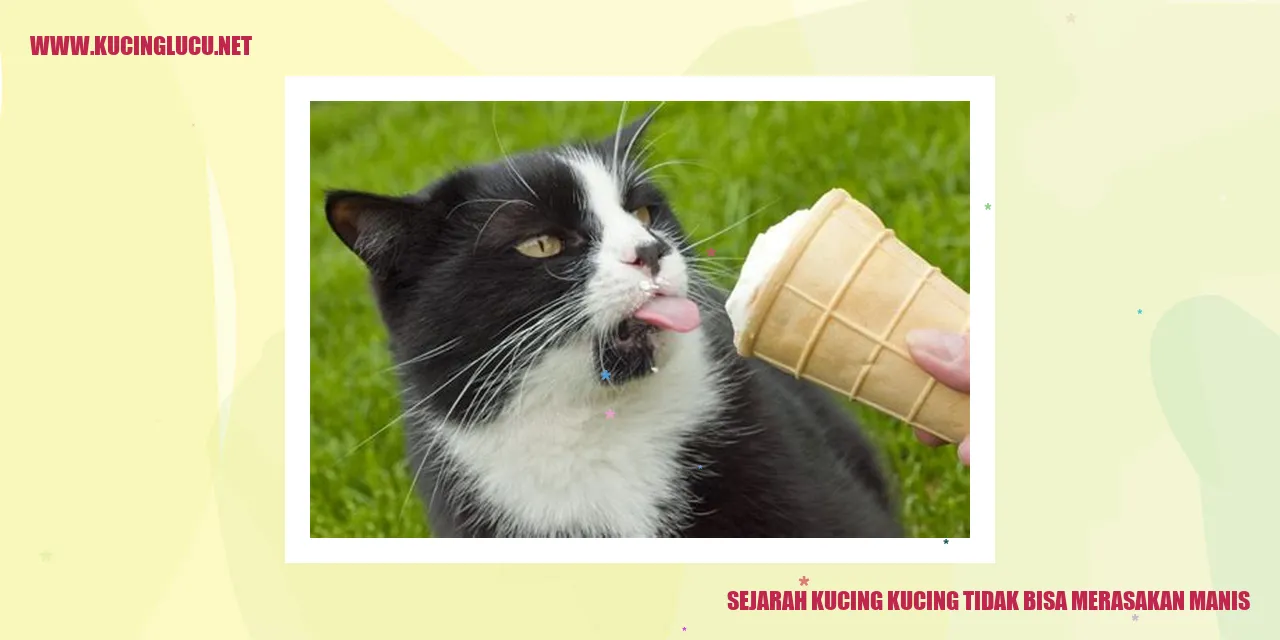 Gambar Kucing