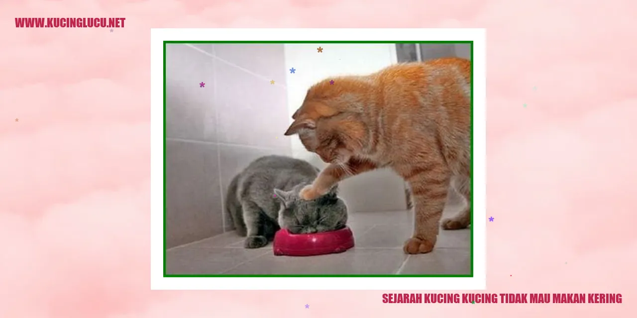 Sejarah Kucing kucing tidak mau makan kering