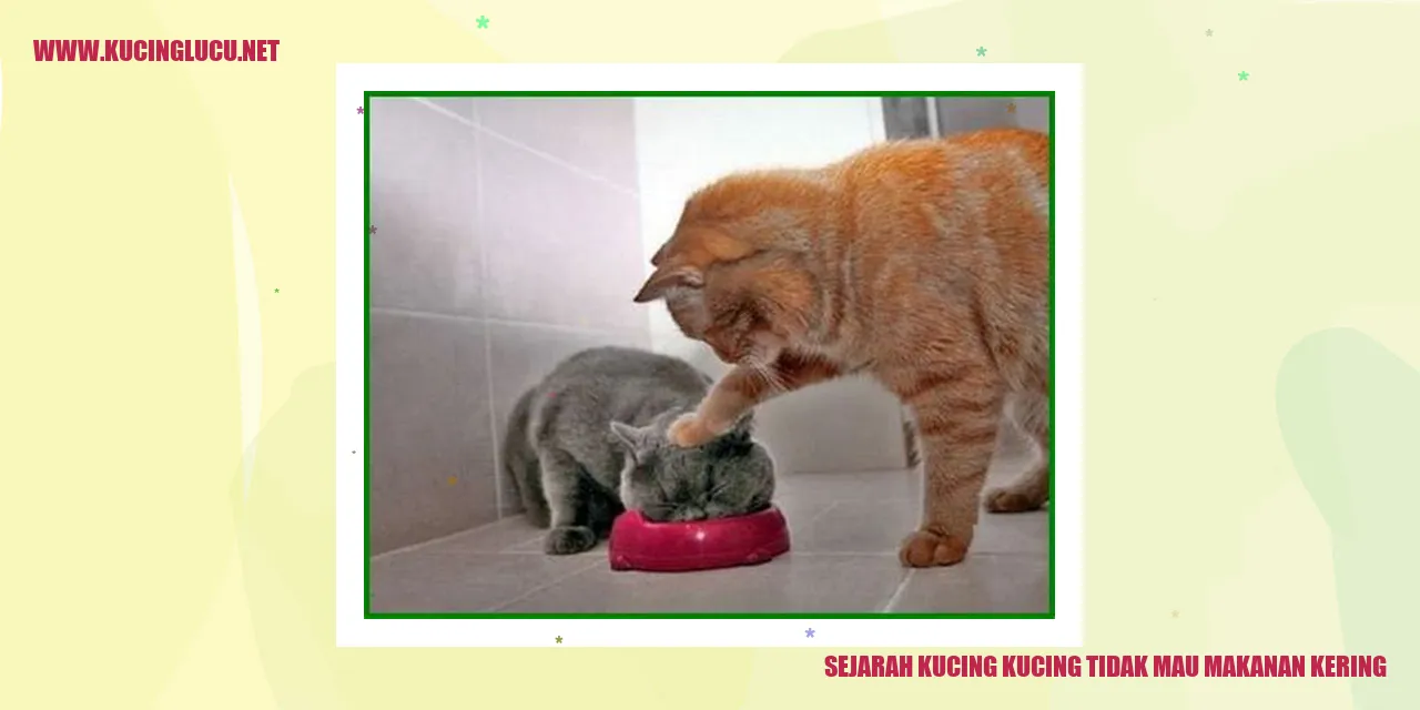 Foto kucing