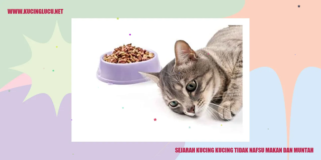 Foto kucing