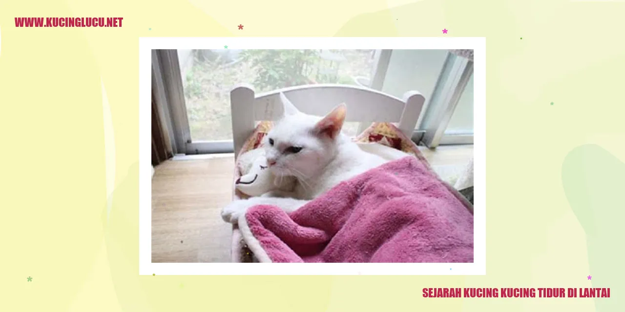 Sejarah Kucing Kucing Tidur di Lantai