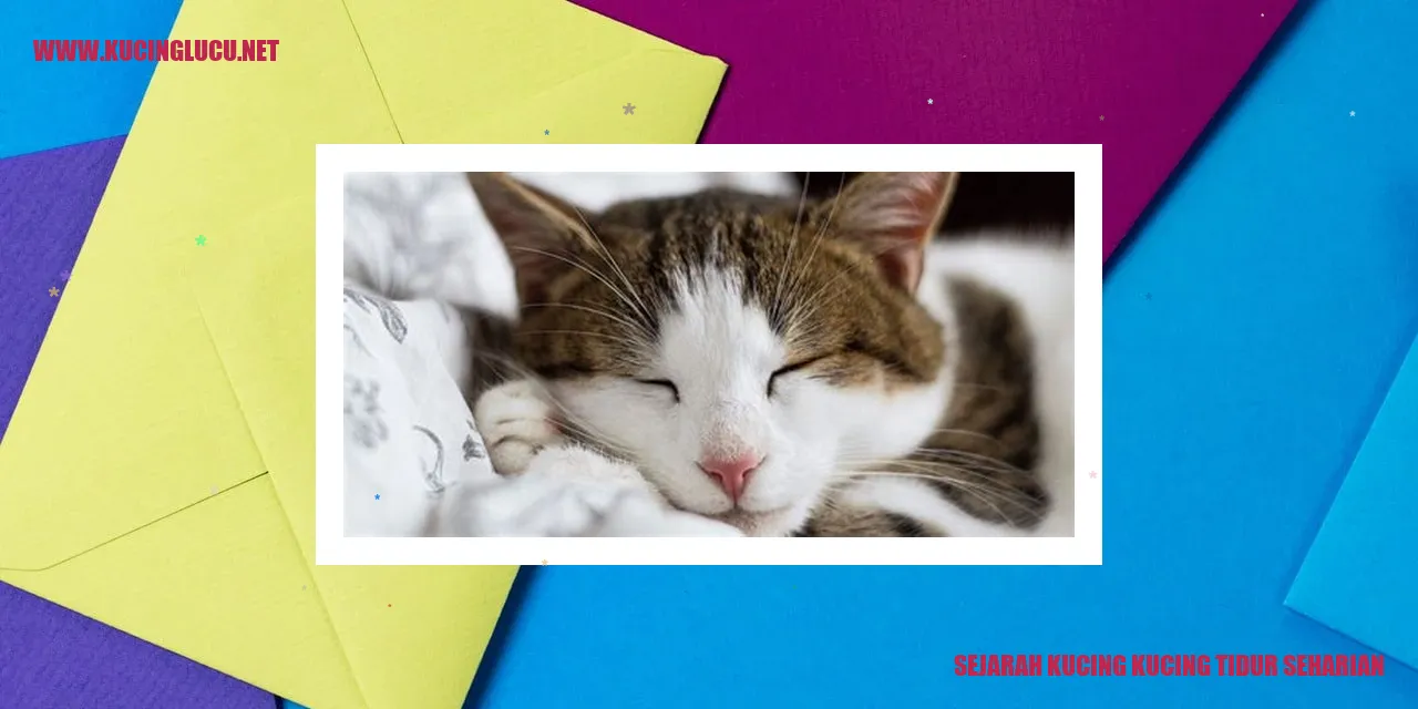 Kucing Merupakan Hewan Pemalas