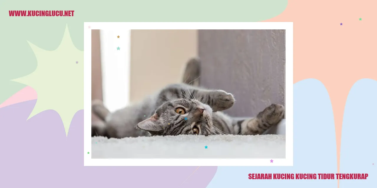 Gambar Kucing Tidur Menghadap Bumi