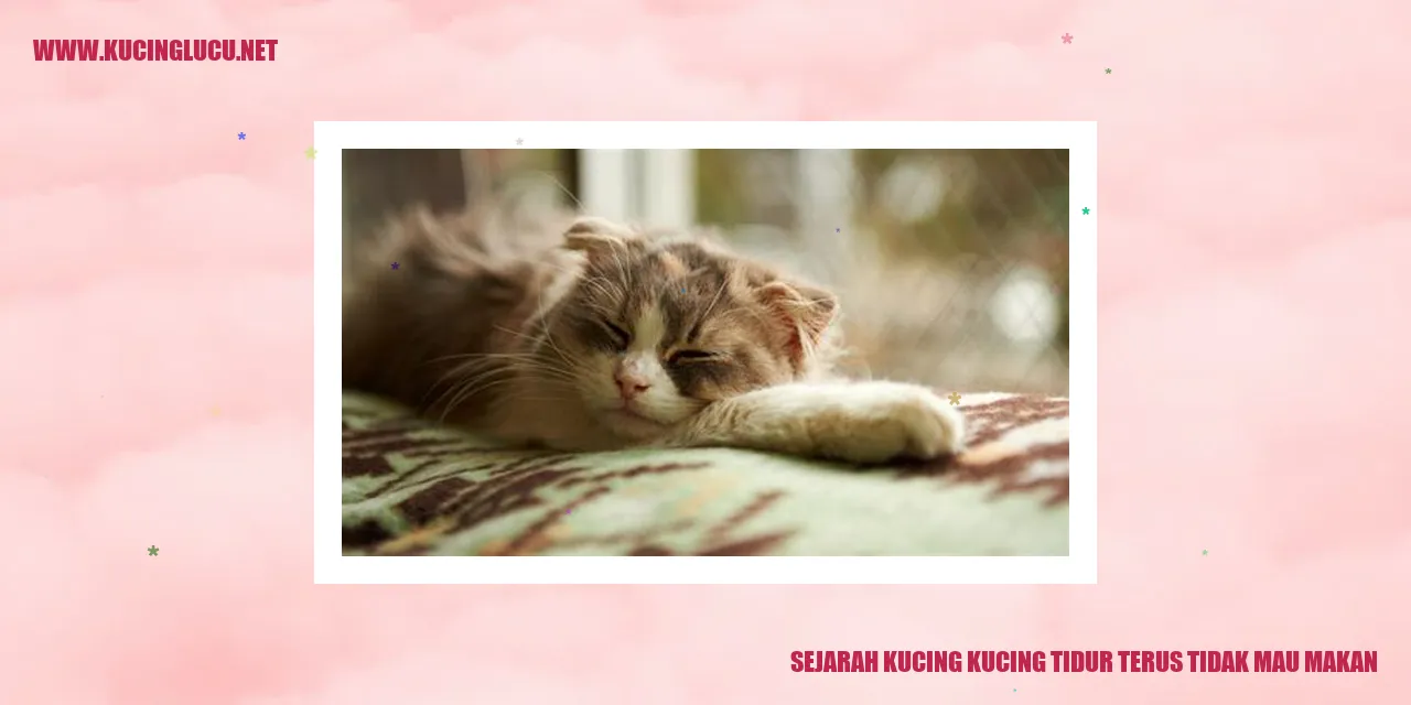 Kucing yang selalu tertidur dan malas makan