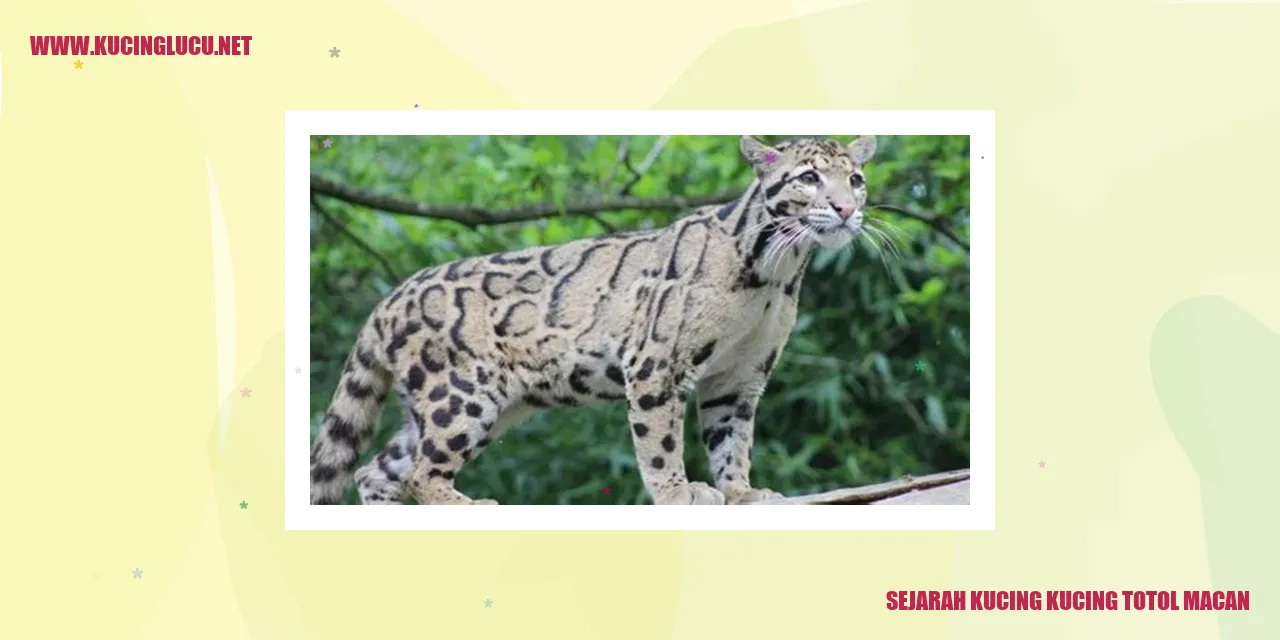 Gambar Kucing Totol Macan