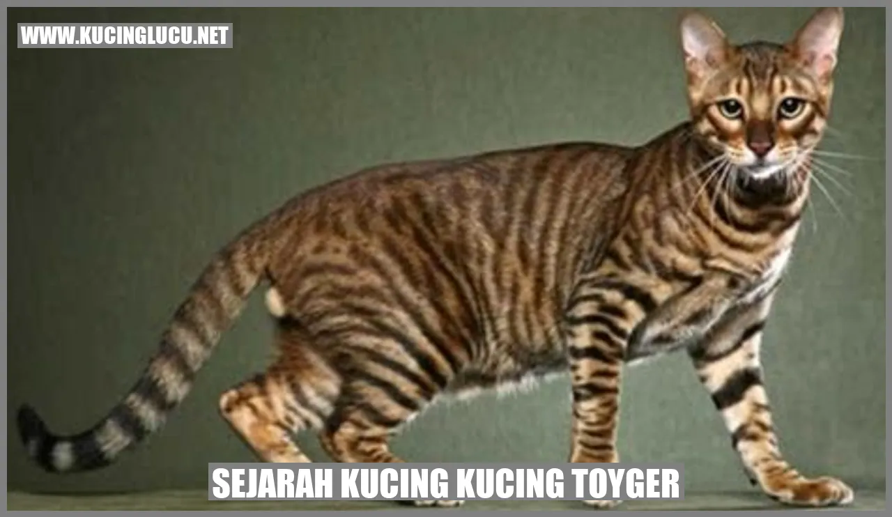 Kucing Toyger yang Memukau