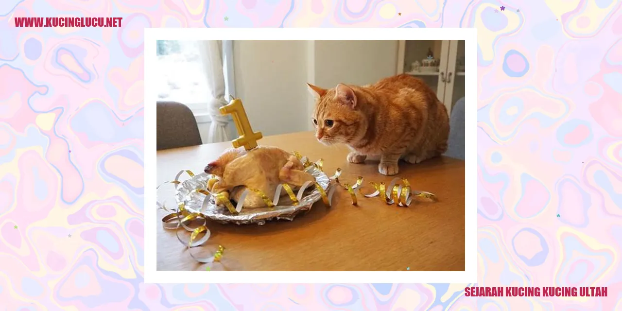 Sejarah Kucing Kucing Ultah