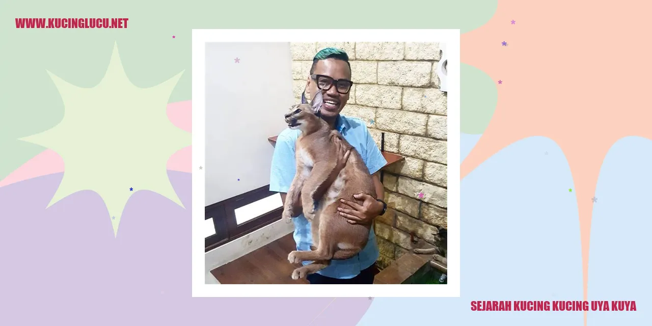 Sejarah Kucing Uya Kuya