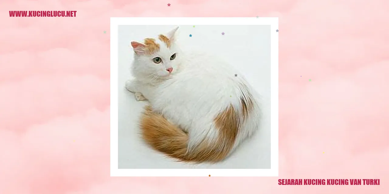Kucing Van Turki