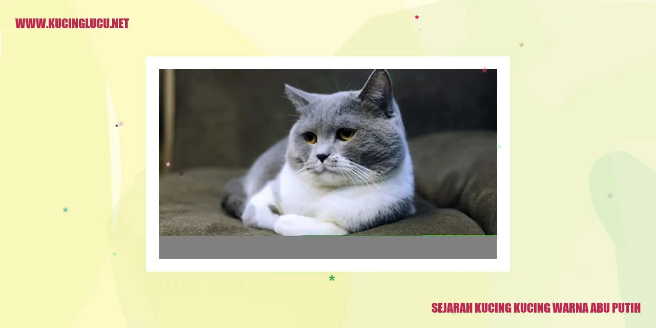 Kucing dengan Bulu Abu Putih