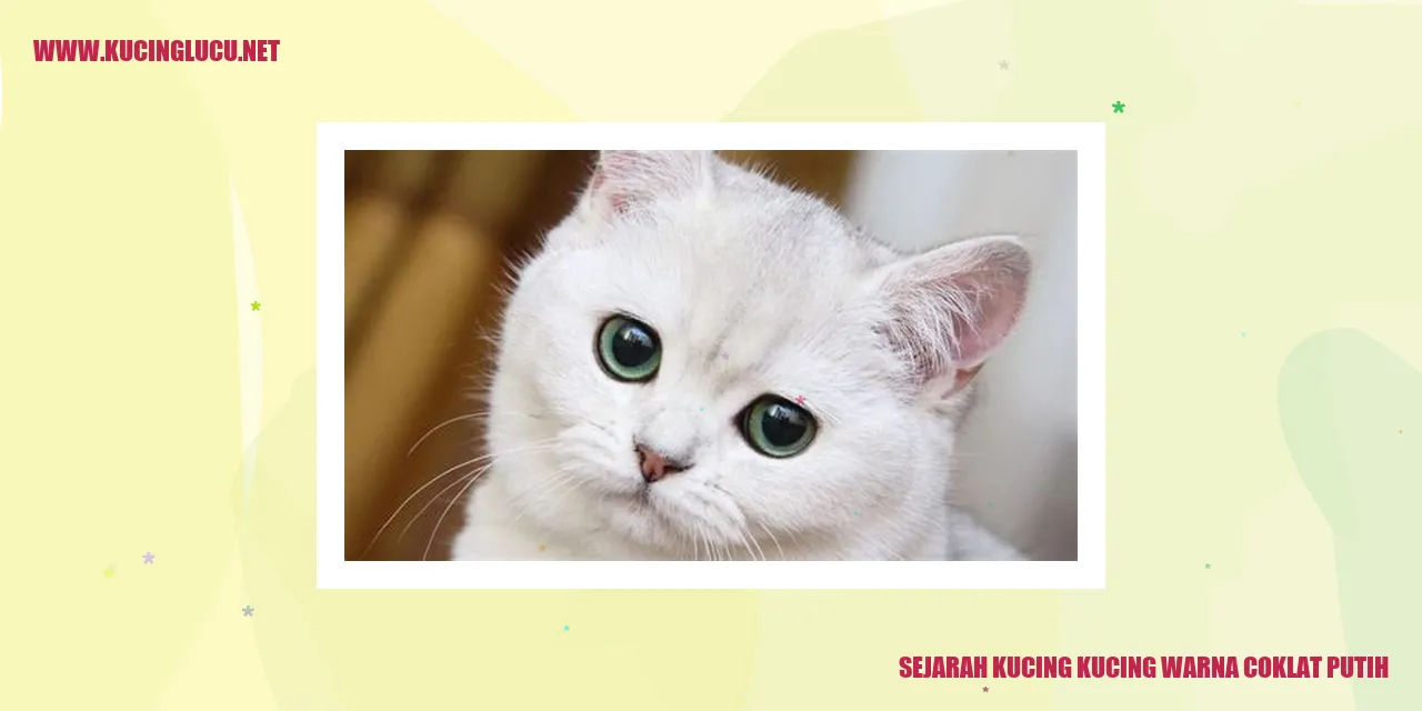 Gambar kucing coklat putih