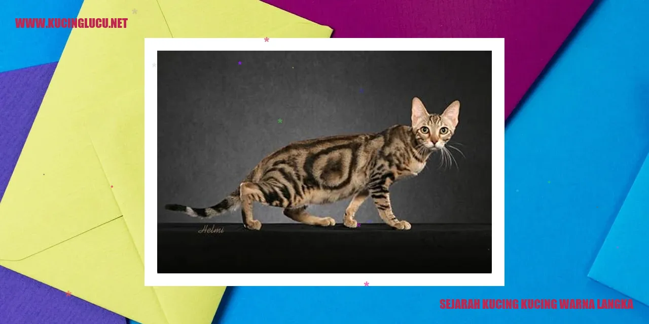 Kucing Warna Langka