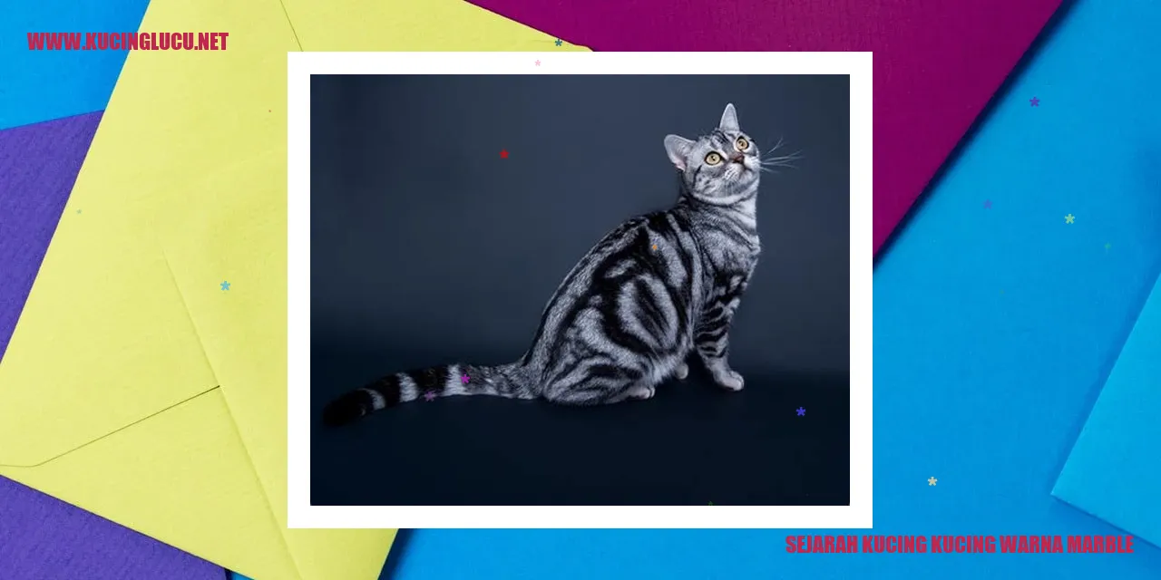 Sejarah Kucing Warna Marble