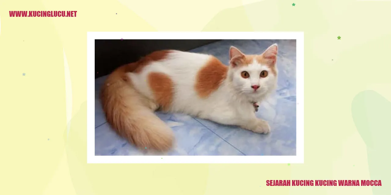 Gambar Sejarah Kucing Warna Mocca