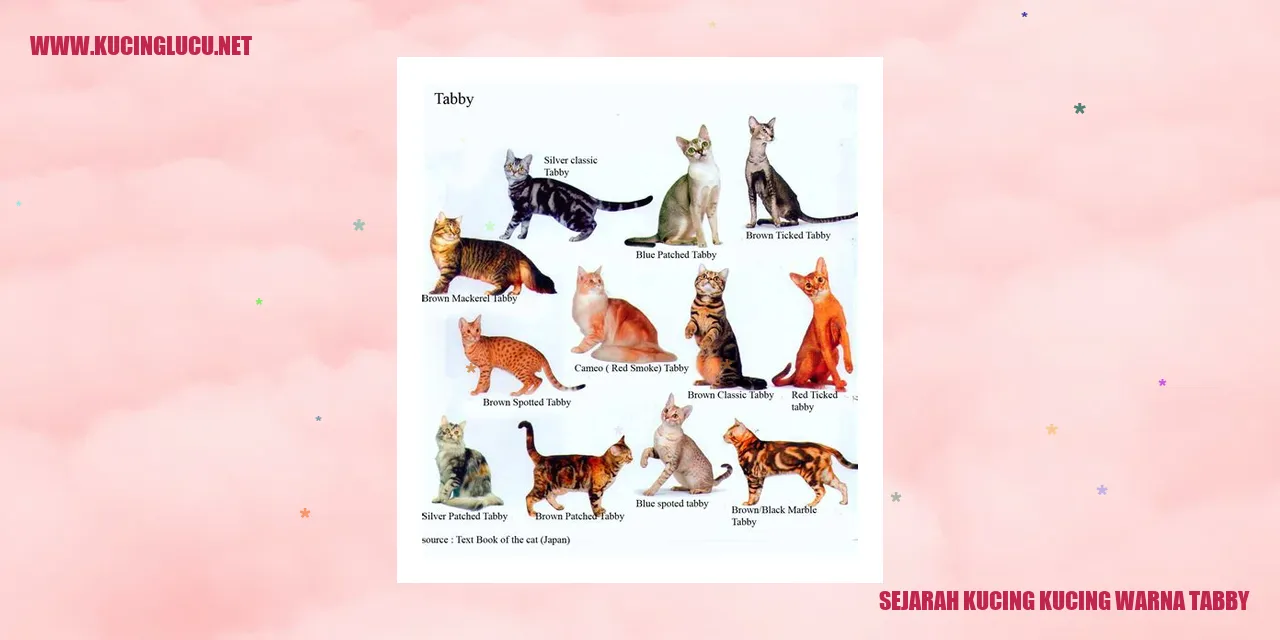 Sejarah Kucing Warna Tabby