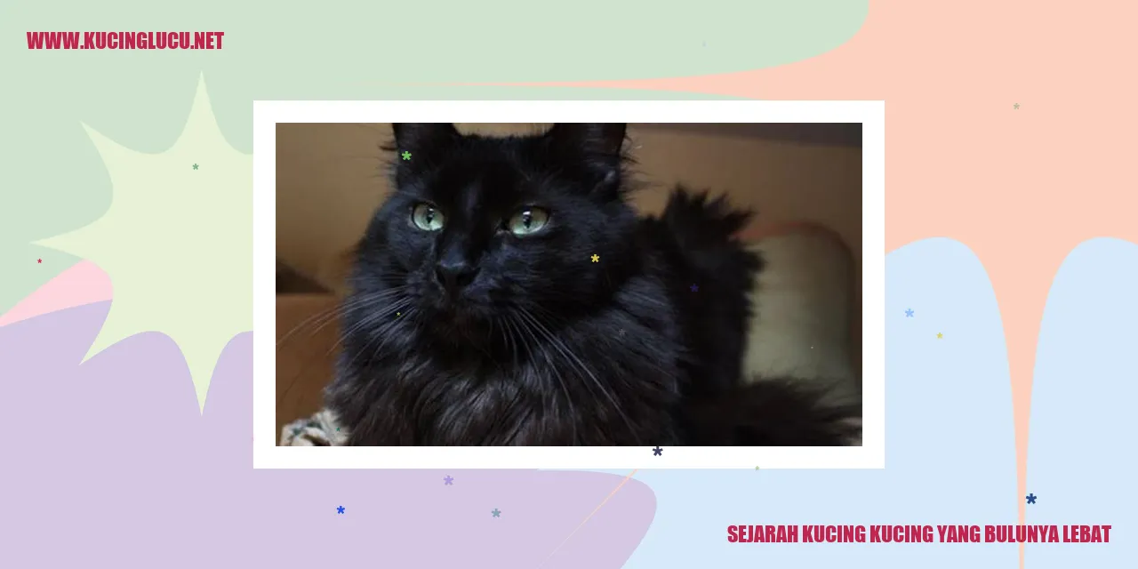Keindahan Kucing yang Berbulu Lebat