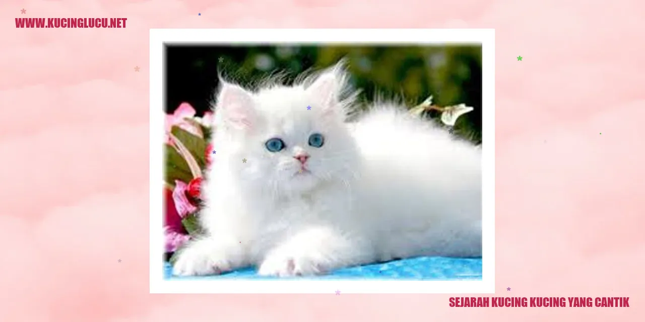 Gambar kucing memesona