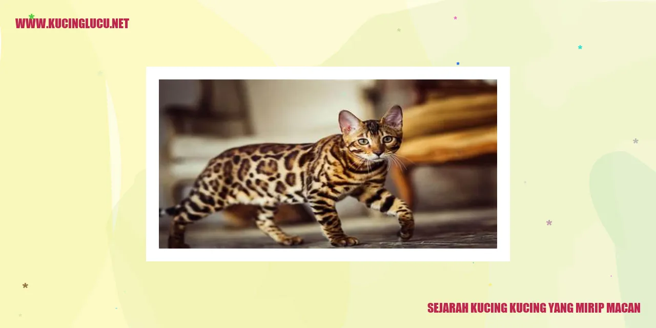 gambar kucing yang menyerupai macan