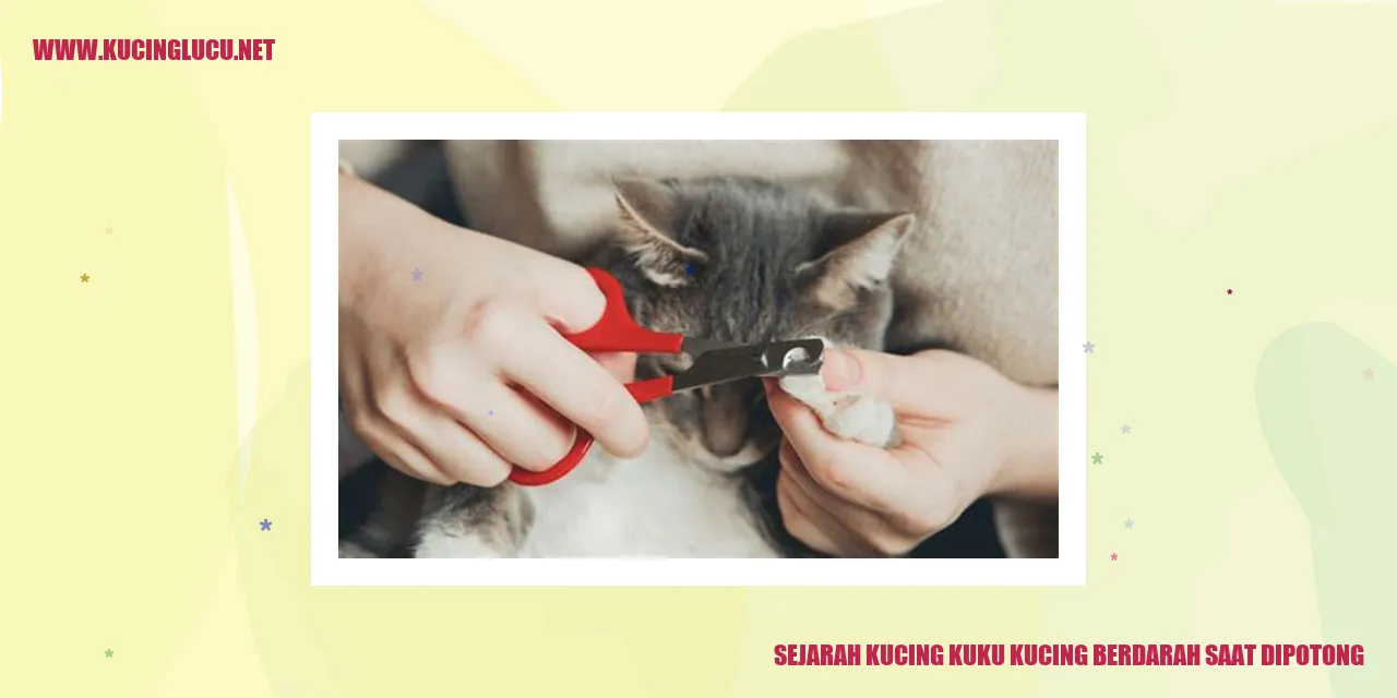 Kucing Kuku Kucing Berdarah Saat Dipotong