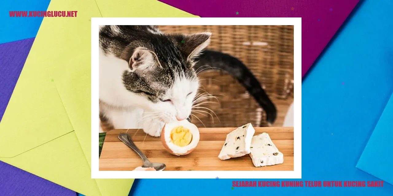 gambar kucing kuning telur