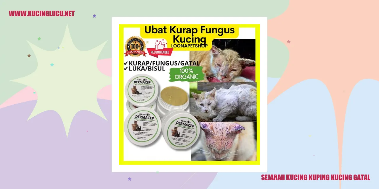 Gambar Kucing Kuping Kucing Gatal