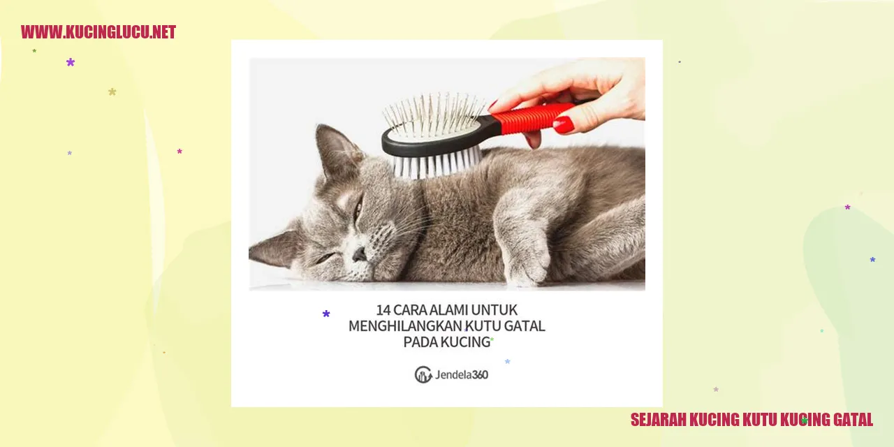 Gambar Kucing Kutu Kucing Gatal