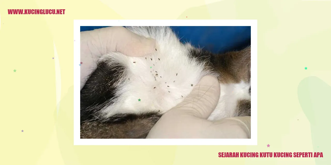 Sejarah Kucing Kutu