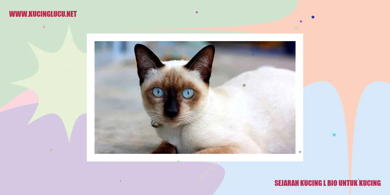 Sejarah Kucing