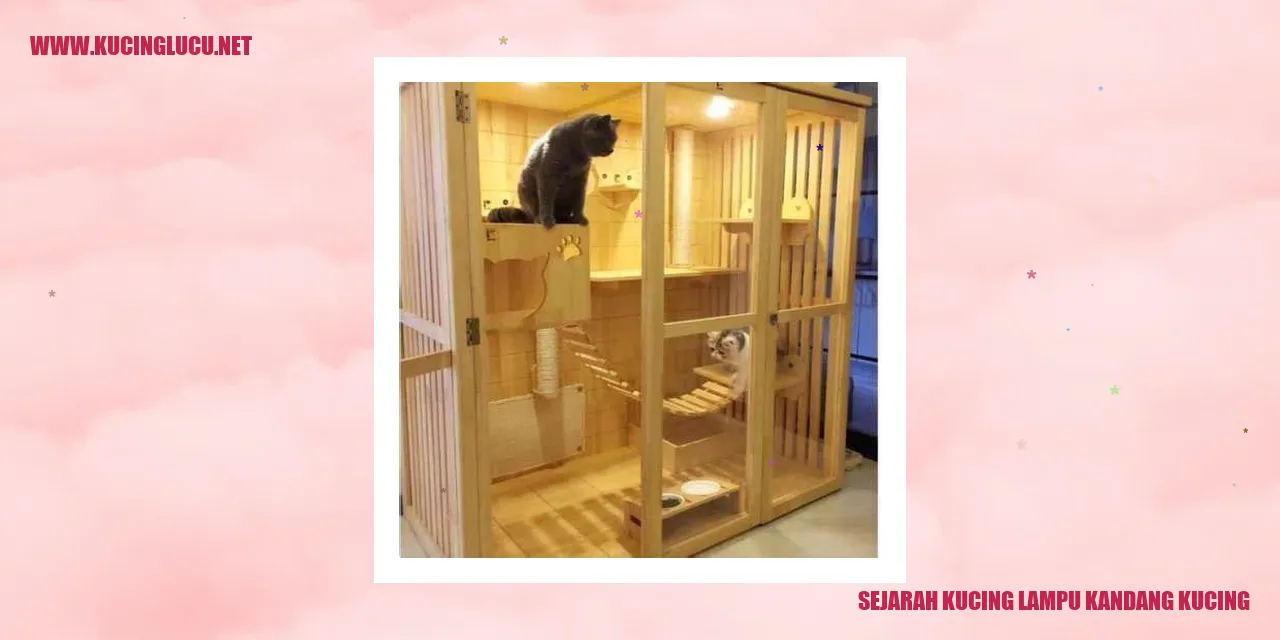 Kucing Lampu Kandang Kucing