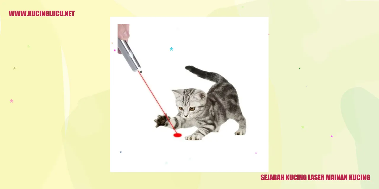 Kucing bermain dengan mainan laser
