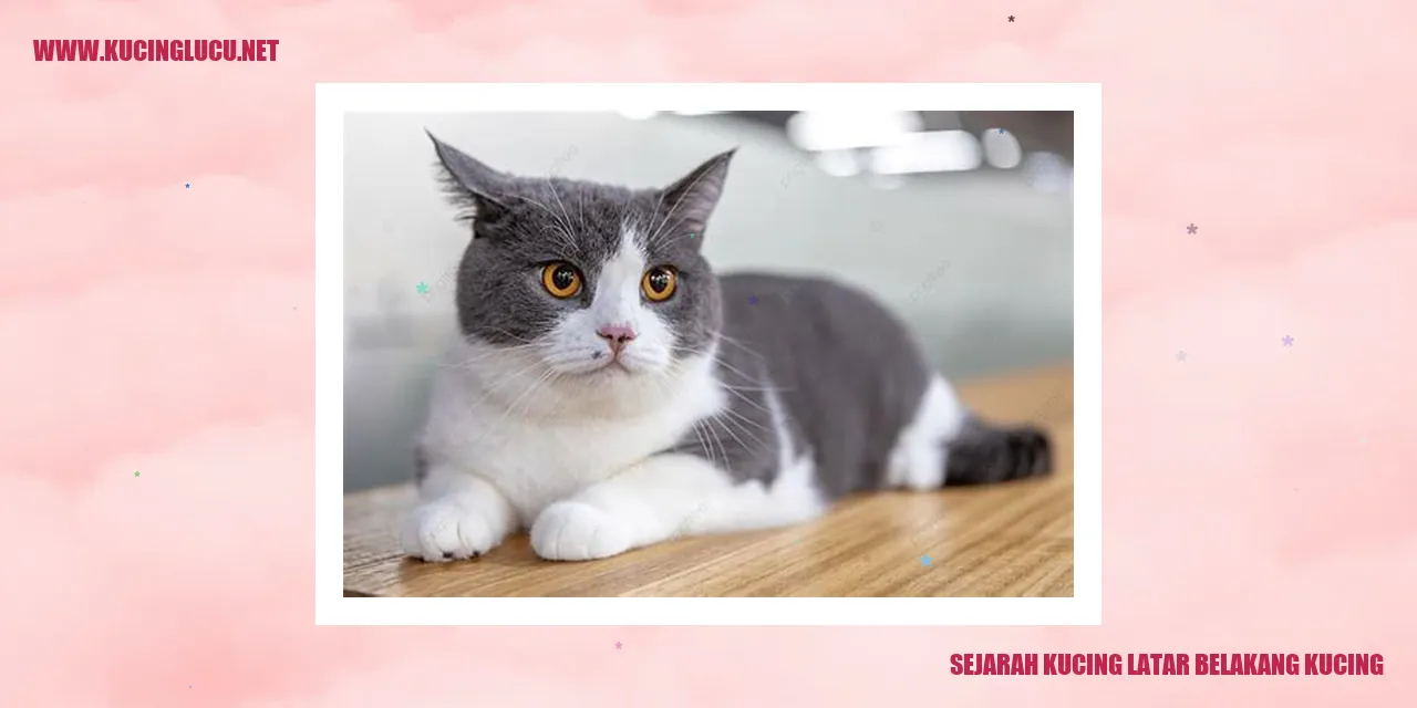 Gambar Kucing